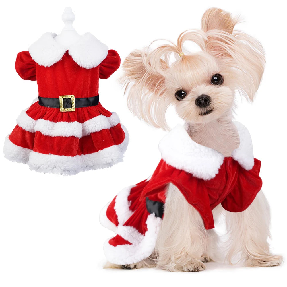 Classic Christmas Pet Wear